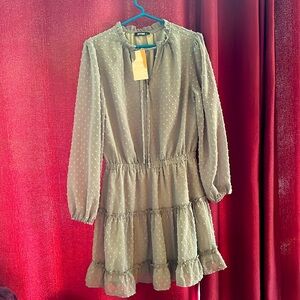 NWT Sage Green Swiss Dot Dress